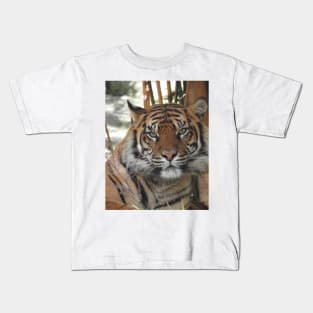 Sumatran Tiger Kids T-Shirt